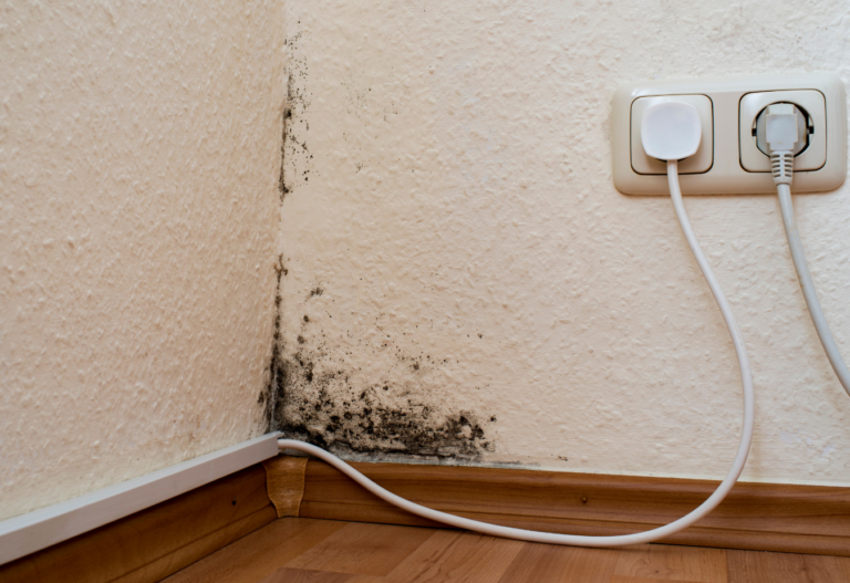 the corner of a white wall with black mold growing above a baseboard, an outlet is on the top right of the photo with two things plugged in