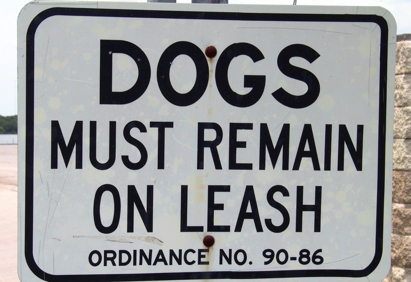 white street sign and in black text it reads "dogs must remain on leash ordinance No.90-86"