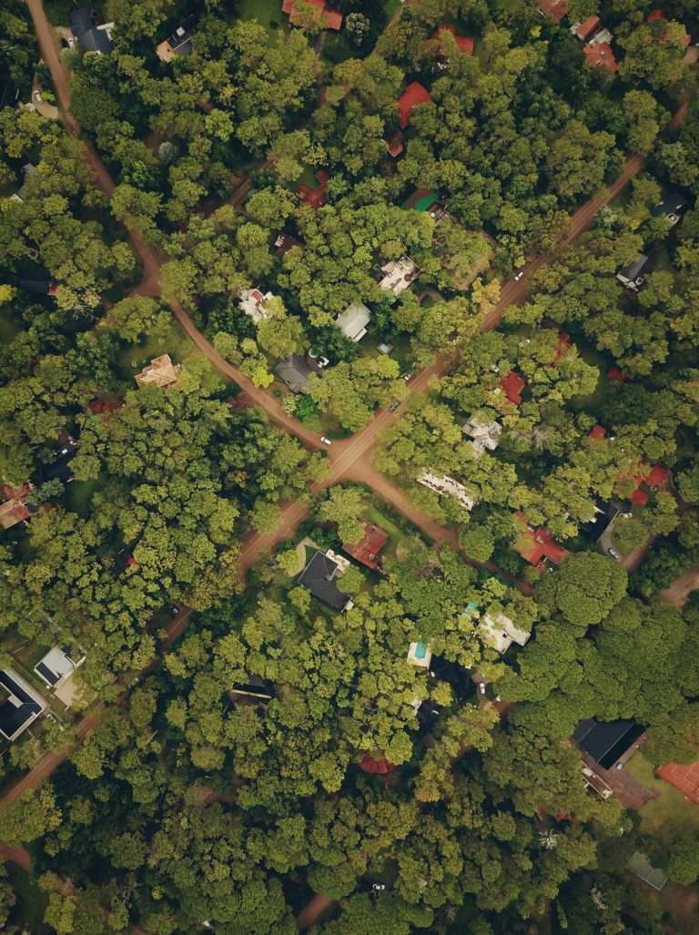 overhead view of a small neighborhood with trees and a four way intersection